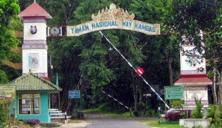 Read more about the article 25 Tempat Wisata di Lampung Timur Sedang Hits Saat Ini