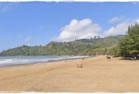 10 Pantai di Tulungagung yang bagus hits populer saat ini
