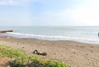 Read more about the article 10 Wisata Pantai di Pemalang yang Lagi Hits buat di Kunjungi