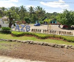 akbar zoo banyuwangi