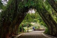 Hutan Bambu Keputih Surabaya