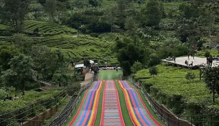 wisata ke puncak bogor